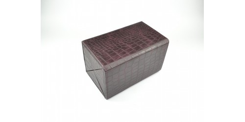 Case for glasses BOX4.50.06